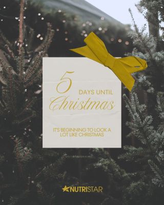 5 days until Christmas 💛 ______________🎅🏽🎄🎁 ______________ #christmasfeed #christmasfeels #counting #christmas #fyp