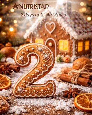 2 days until Christmas 🤎 #christmas #christmastime #christmasfeed #christmasinspiration #christmasgingerbread