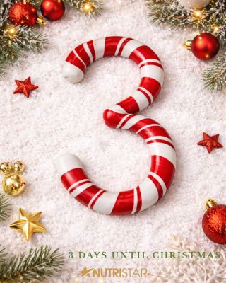 3 days until Christmas 🤩🤩🤩 #feed #christmascounting #merrychristmas #fyp #czech